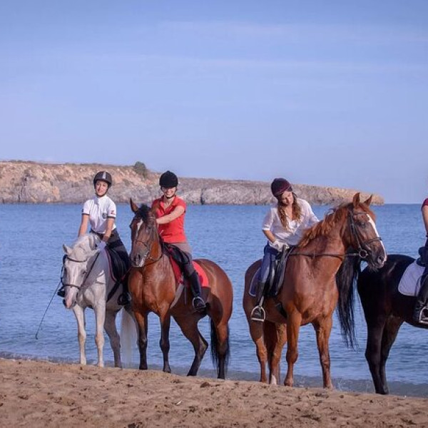 HORSE RIDING ON THE BEACH IN SHARM