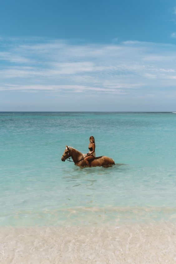 HORSE RIDING ON THE BEACH IN SHARM