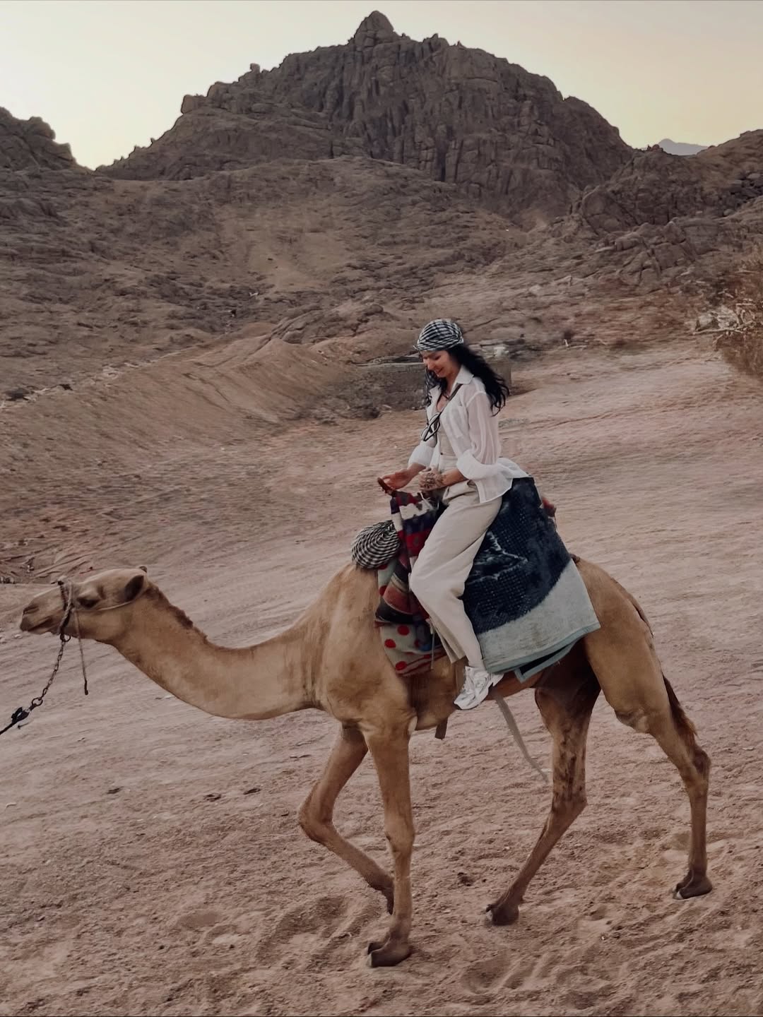 Sharm Desert Adventure – 5 Tours in 1