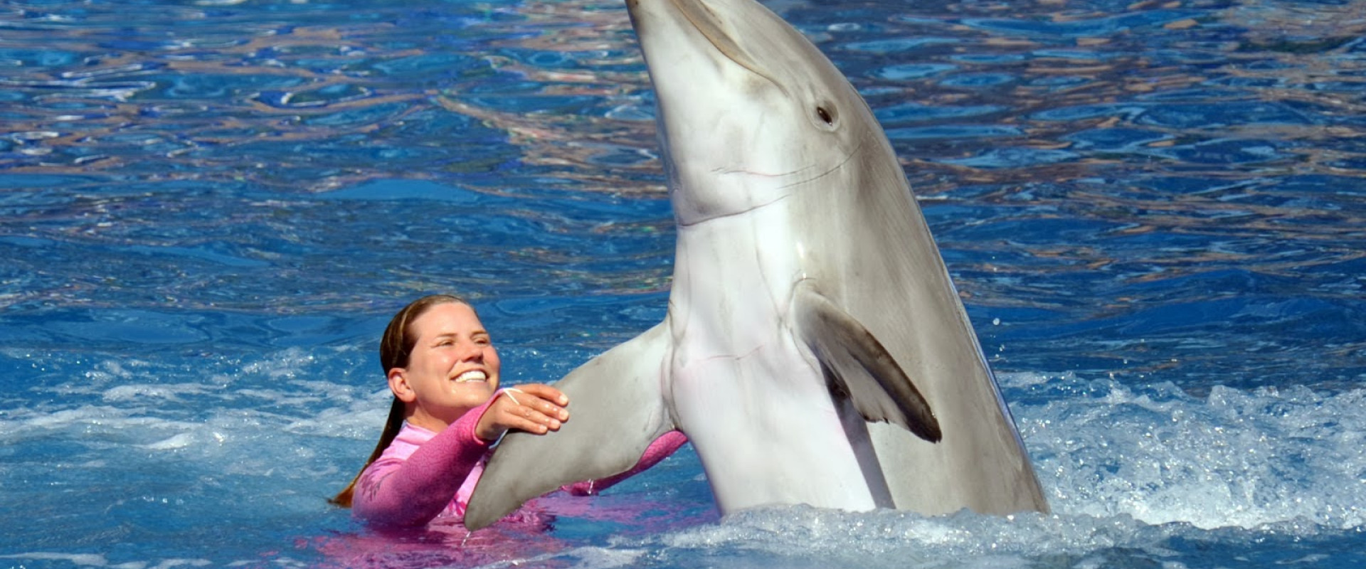 DOLPHIN SHOW IN SHARM EL SHEIKH