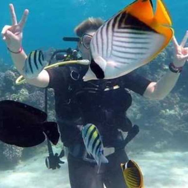 INTRO DIVES FOR DIVERS IN SHARM EL SHEIKH