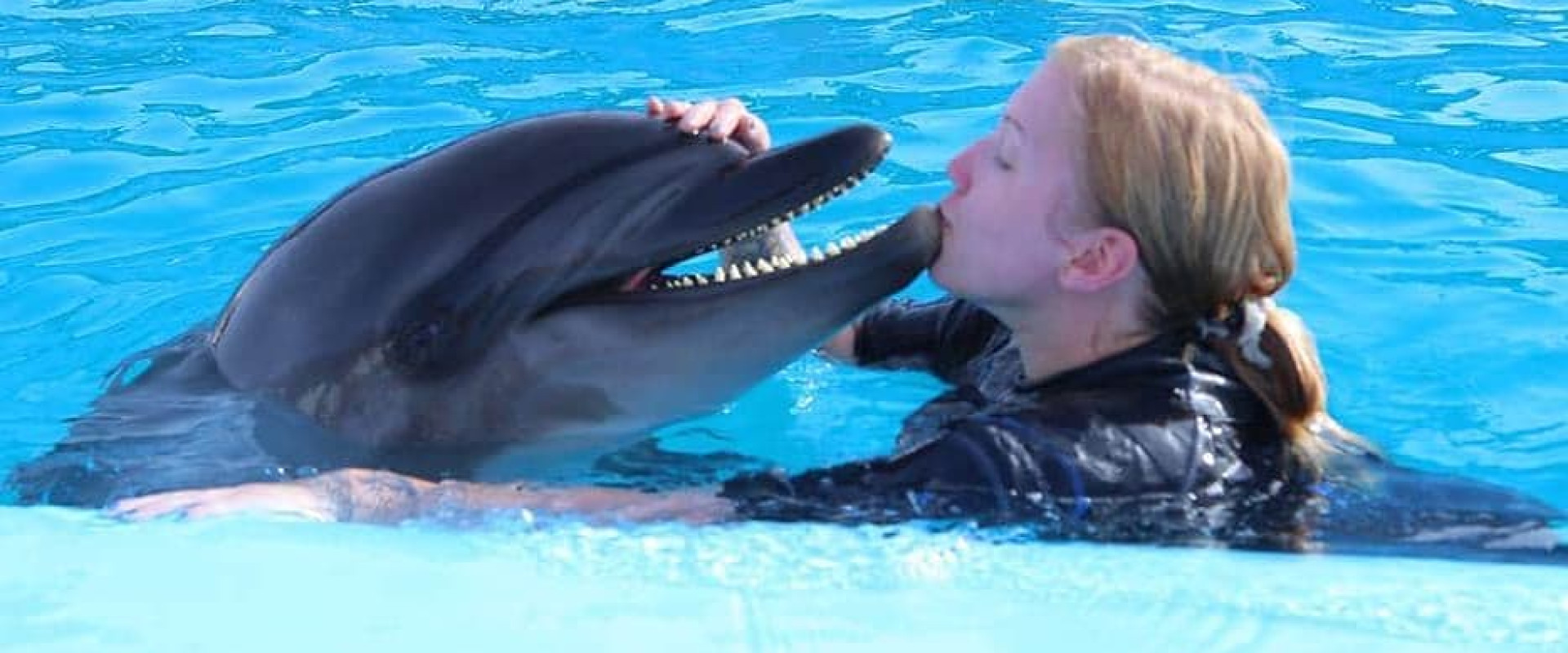 Swimming with Dolphins in Sharm El Sheikh