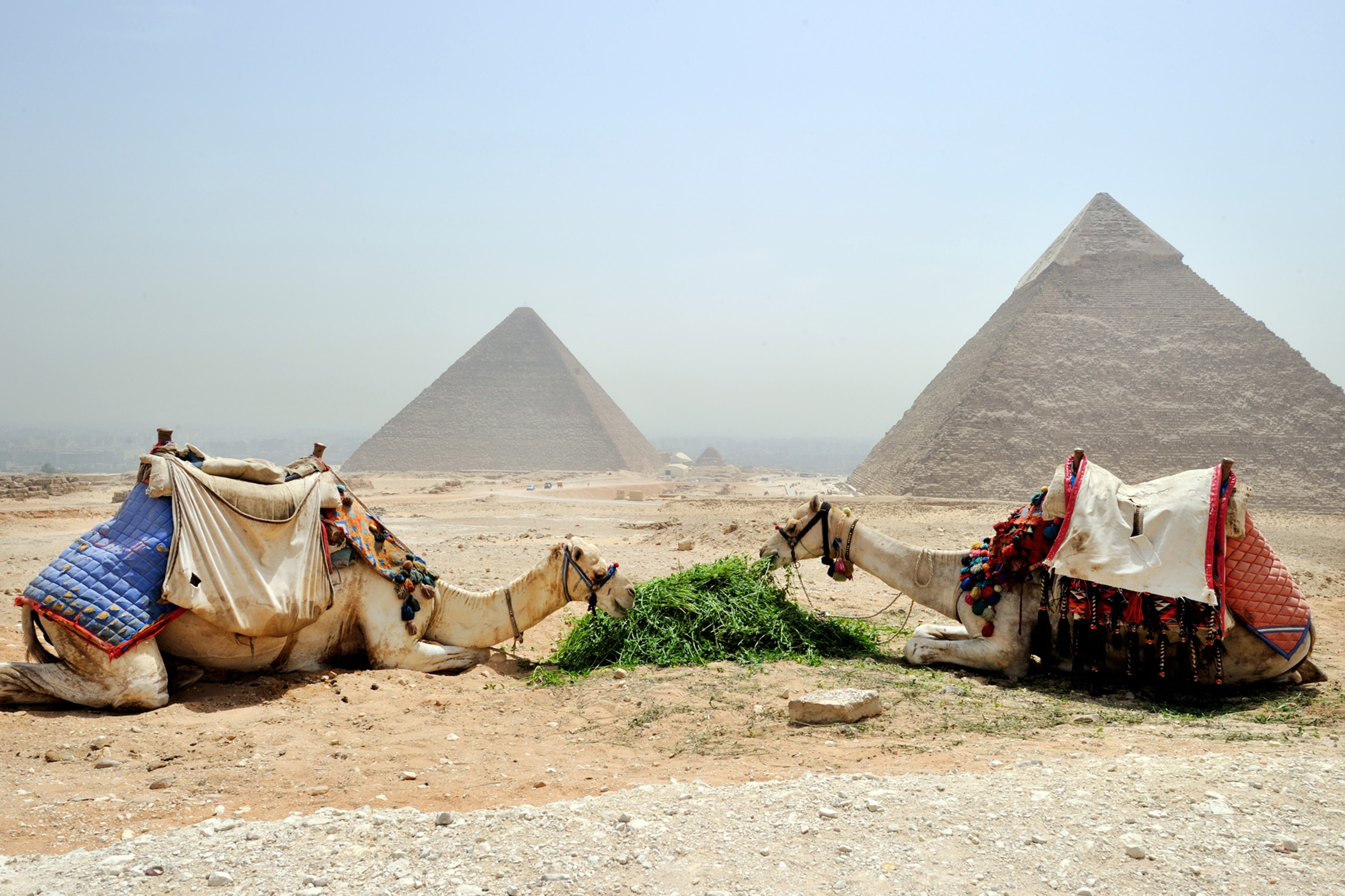 CAIRO AND ALEXANDRIA BY PLANE FROM SHARM WITH OVERNIGHT IN CAIRO