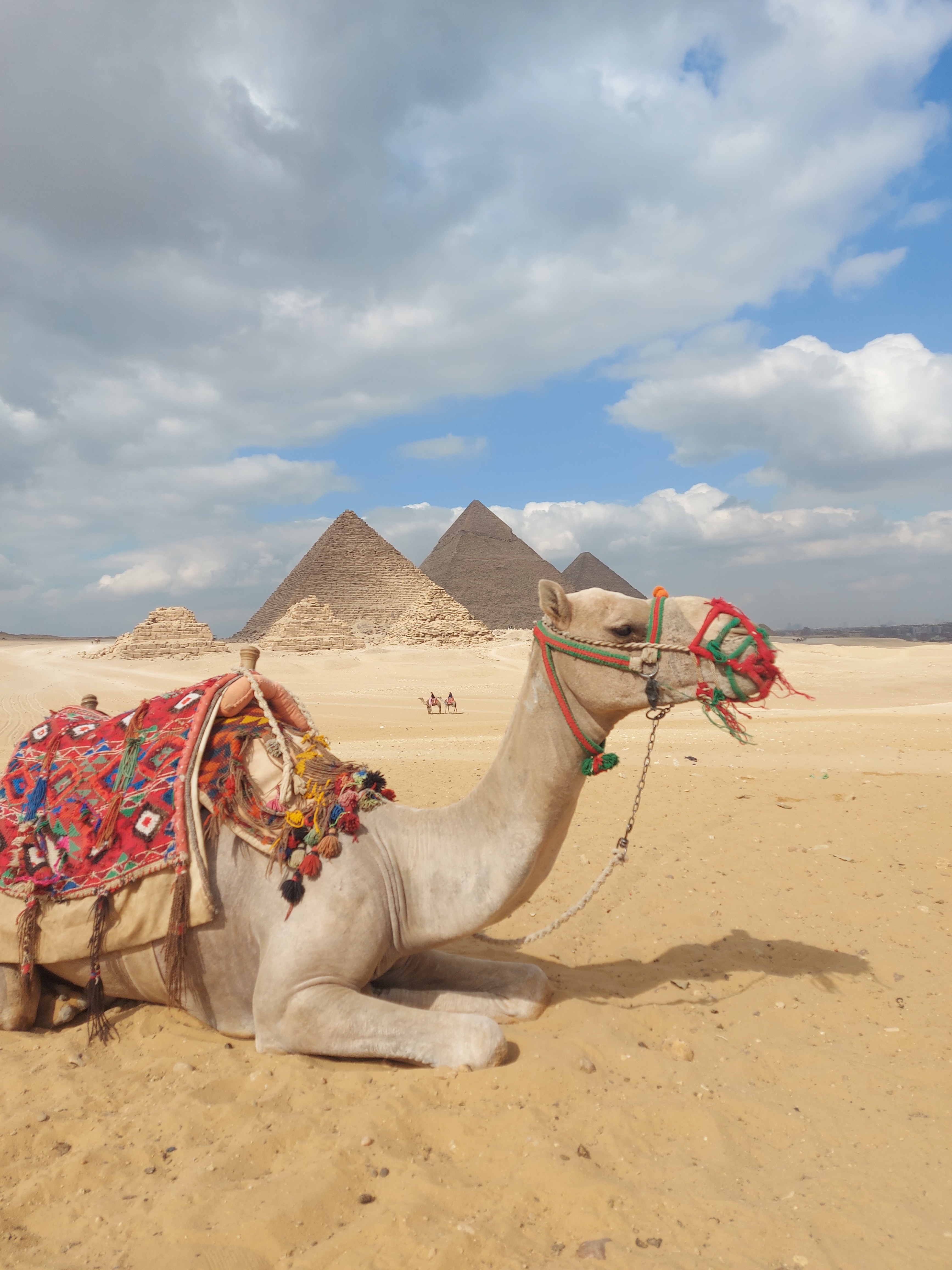 CAIRO  BY BUS FROM SHARM EL SHEIKH