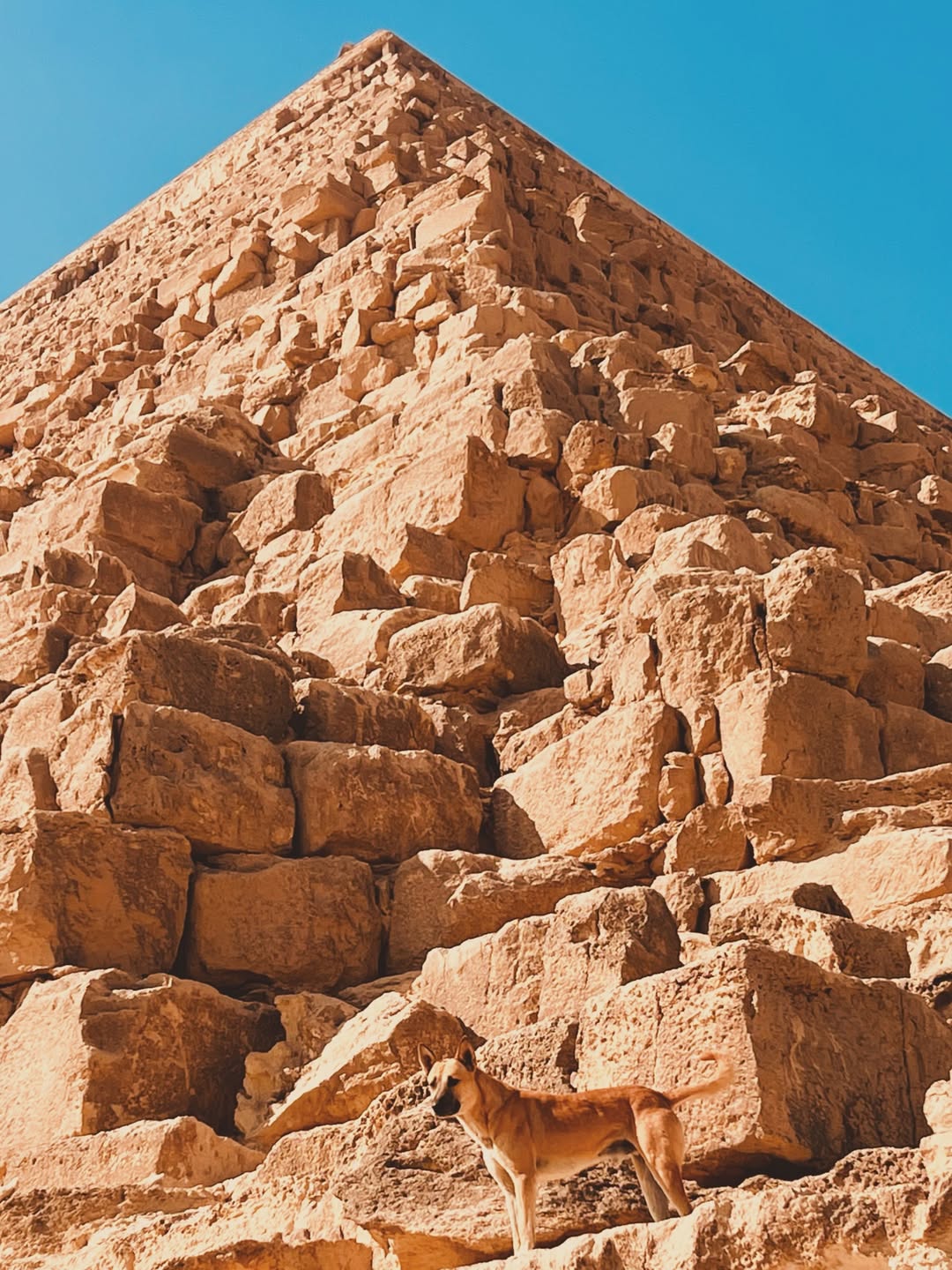 Ultimate Full-Day Cairo Tour from Sharm El Sheikh by Plane