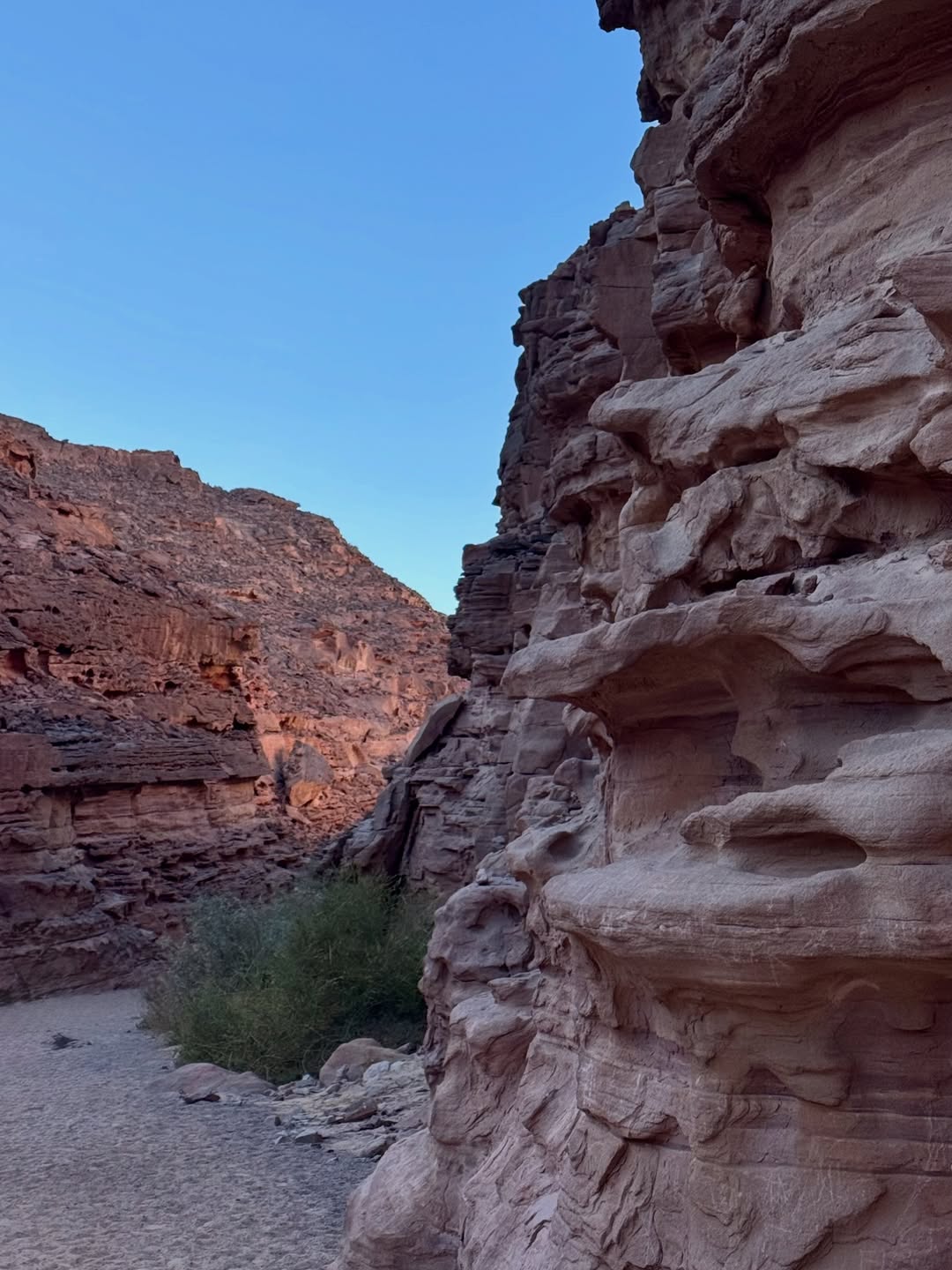 Colored Canyon and Dahab Excursion