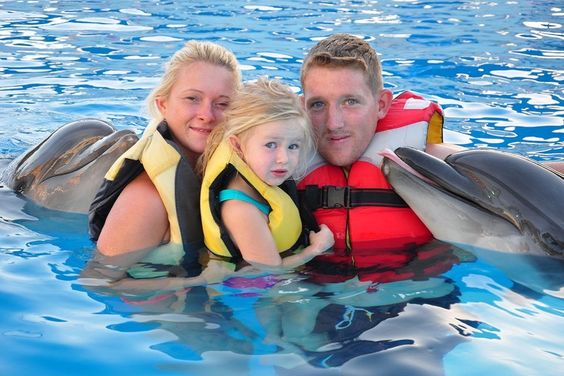 DOLPHIN SHOW IN SHARM EL SHEIKH