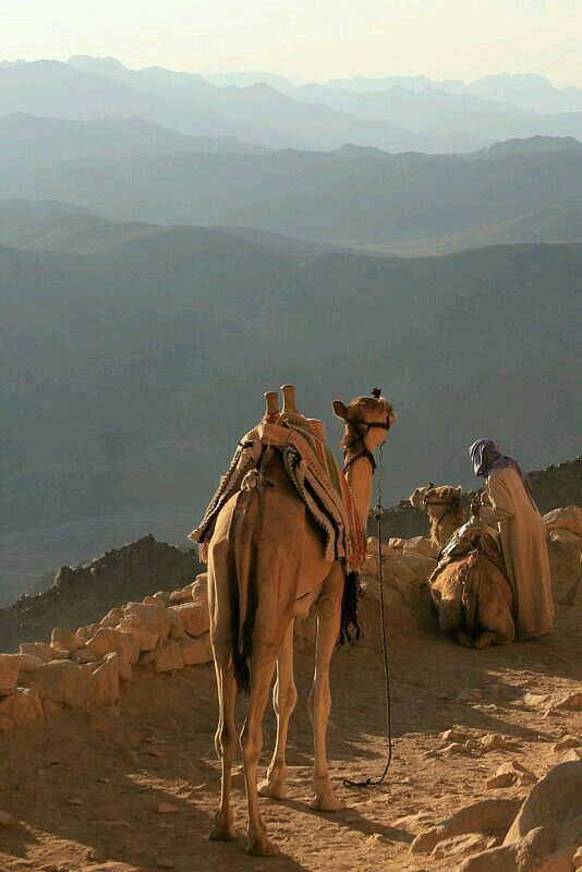 MOUNT SINAI CLIMB AND ST CATHERINE TOUR FROM SHARM EL SHEIKH