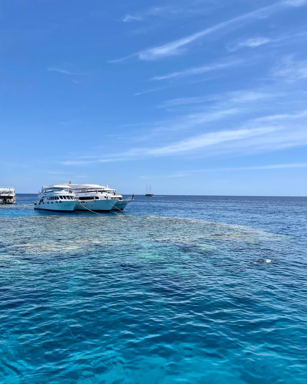 Ras Mohamed & White Island By Boat