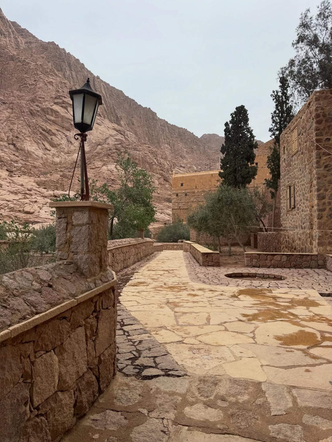 Saint Catherine Monastery Day Trip from Sharm El Sheikh