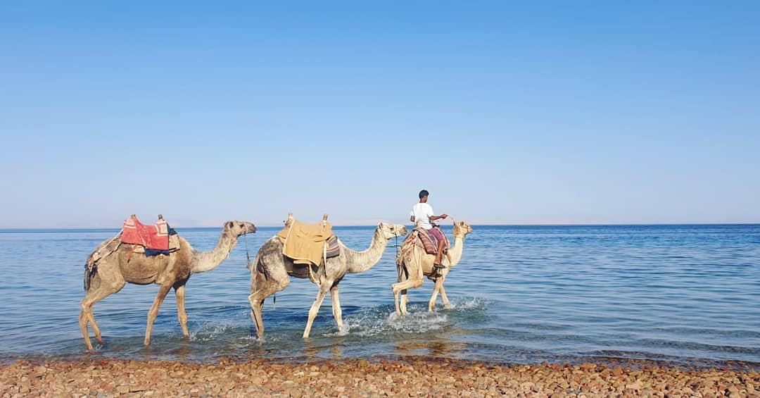 Three Pools Adventure in Dahab