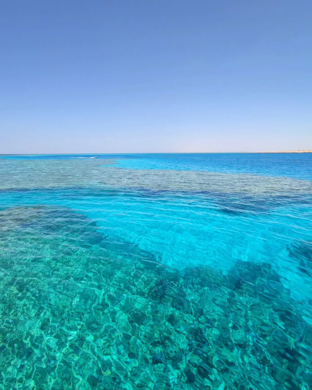 Tiran Island Boat Trip