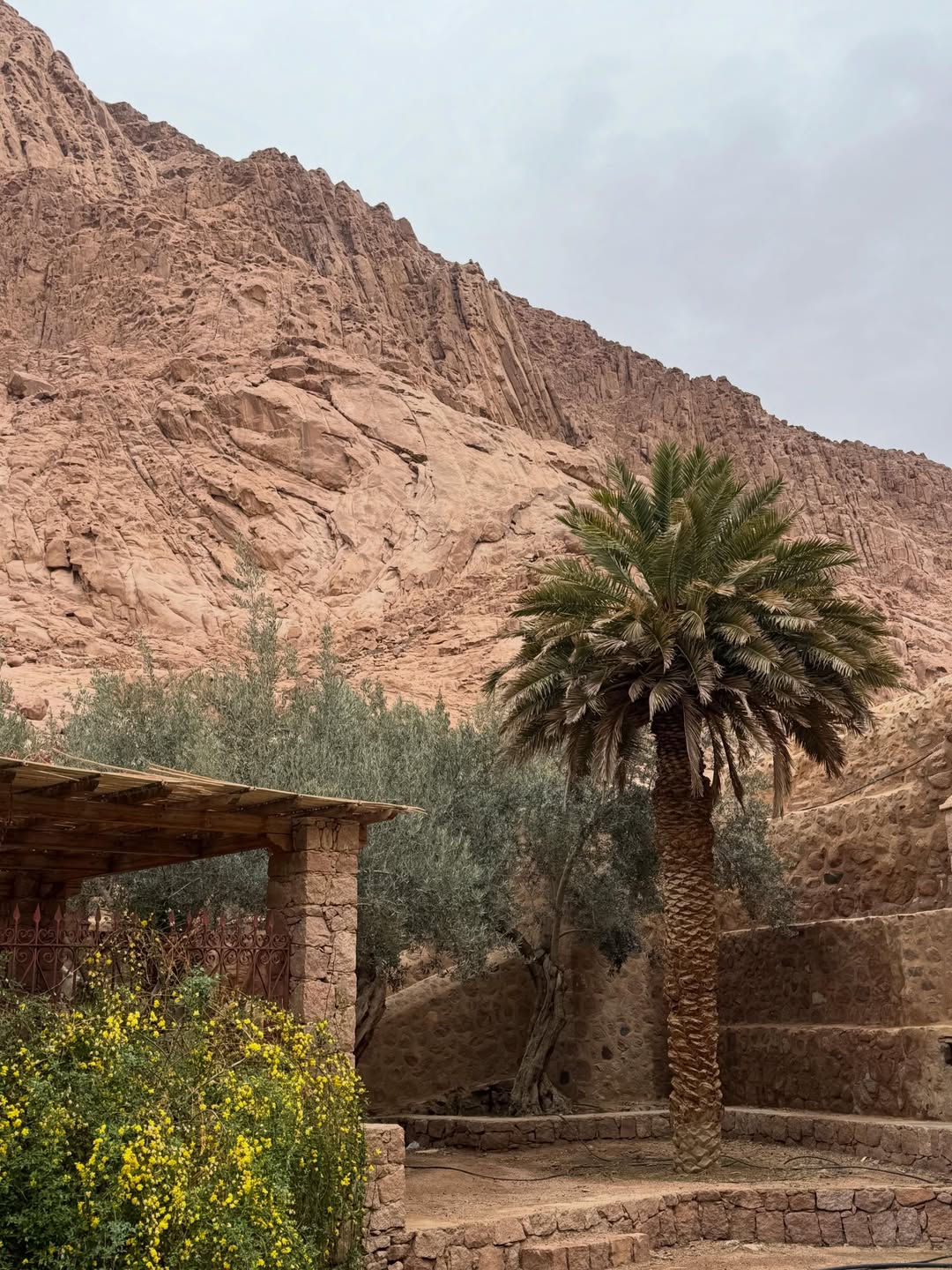 Saint Catherine Monastery Day Trip from Sharm El Sheikh