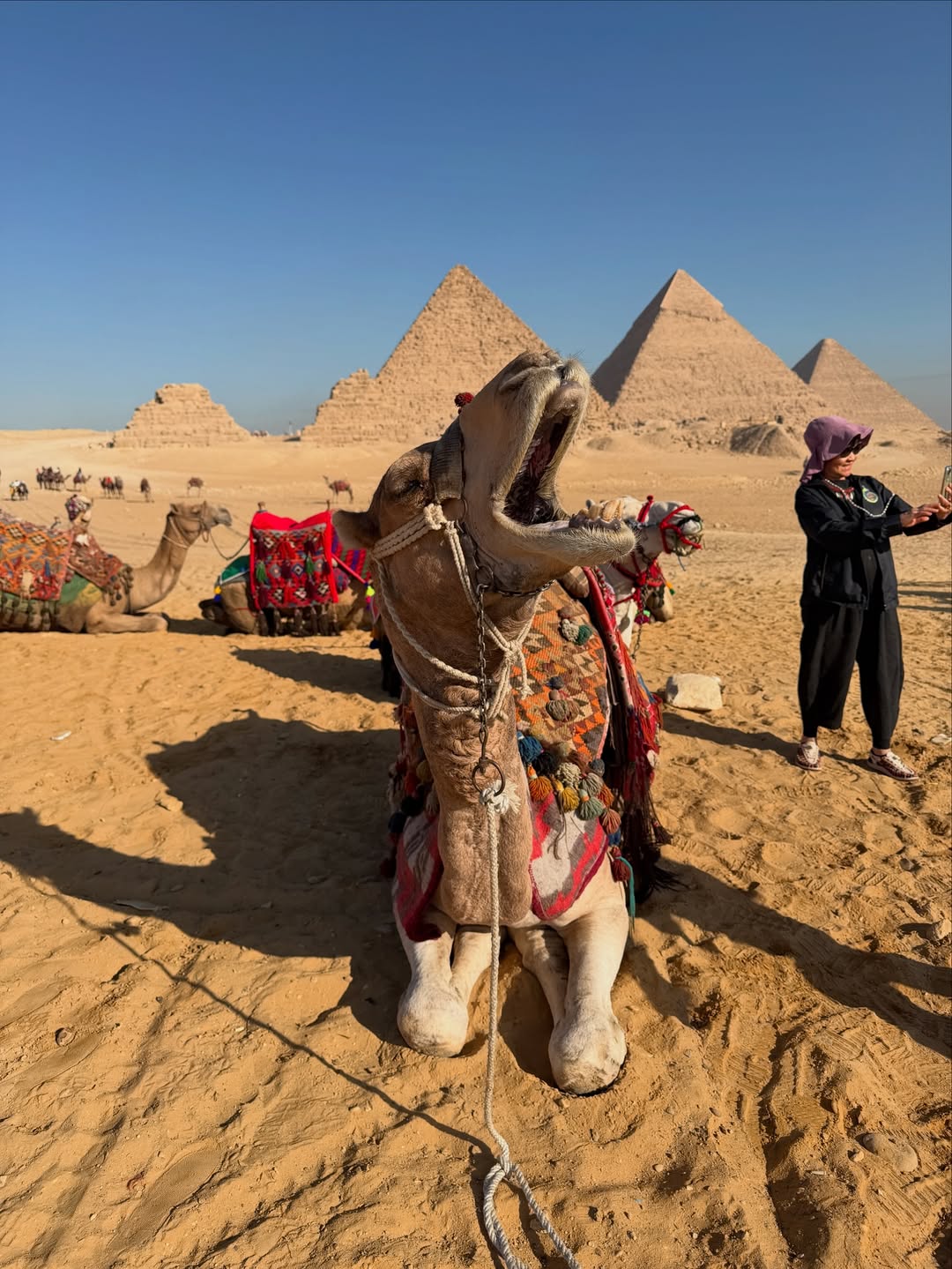 Cairo  Overnight Package from Sharm El Sheikh by Plane