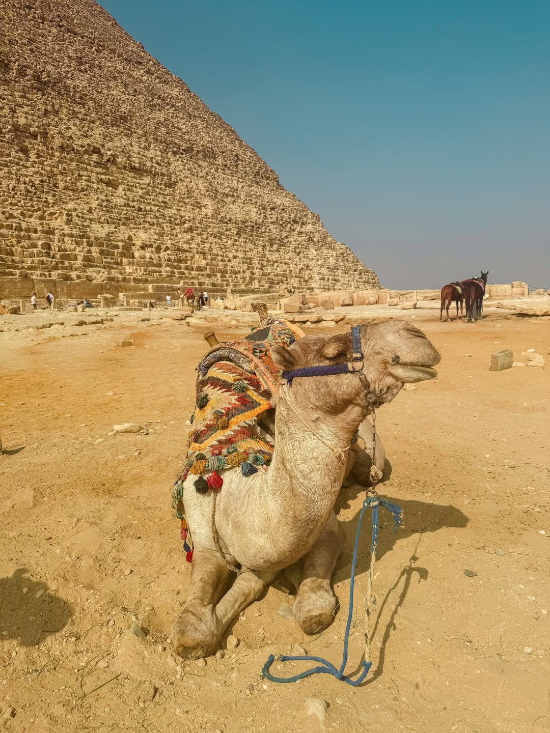 Ultimate Full-Day Cairo Tour from Sharm El Sheikh by Plane