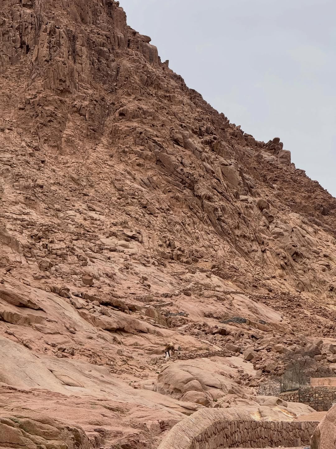 Saint Catherine Monastery Day Trip from Sharm El Sheikh