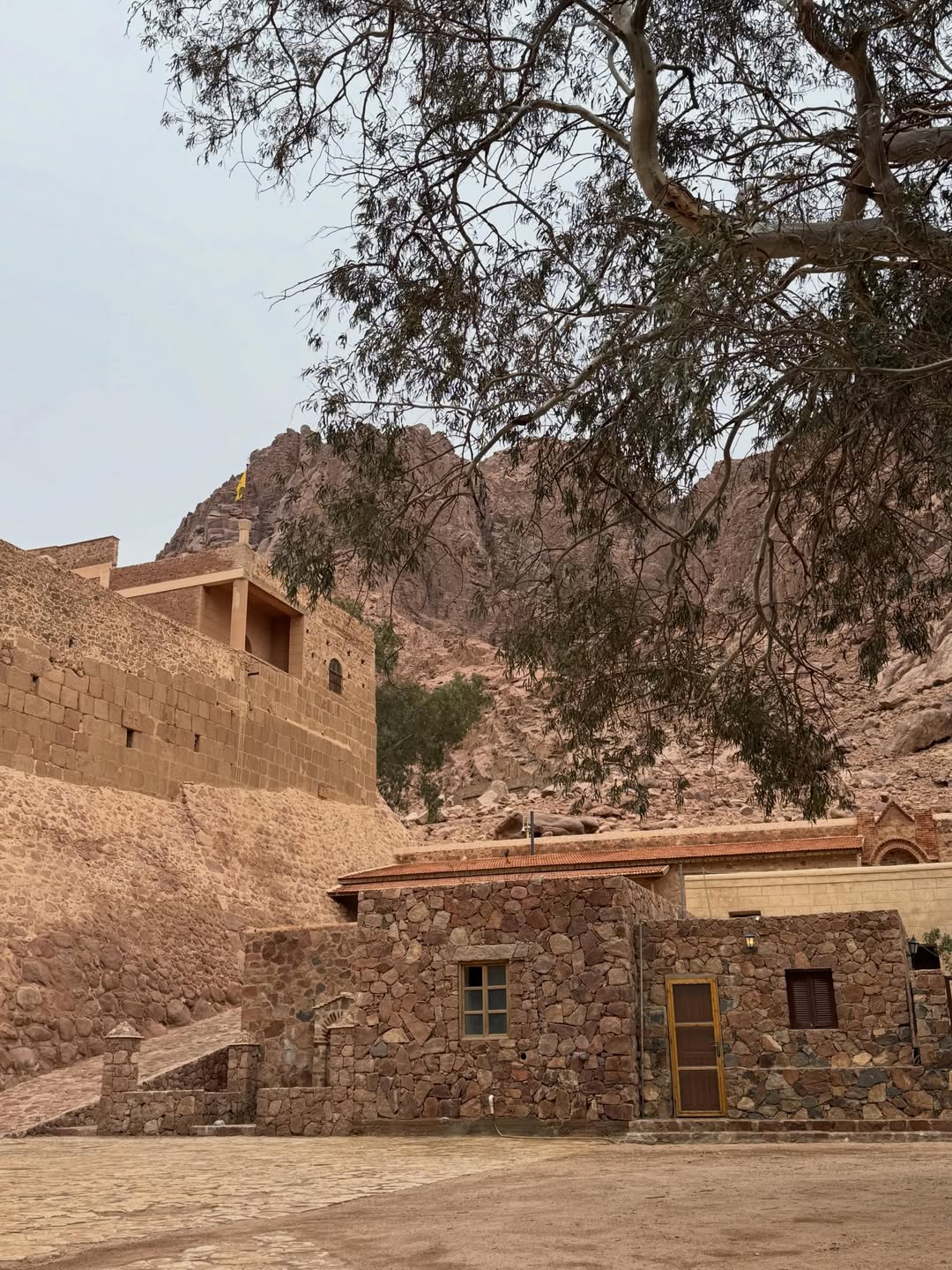 Saint Catherine Monastery Day Trip from Sharm El Sheikh