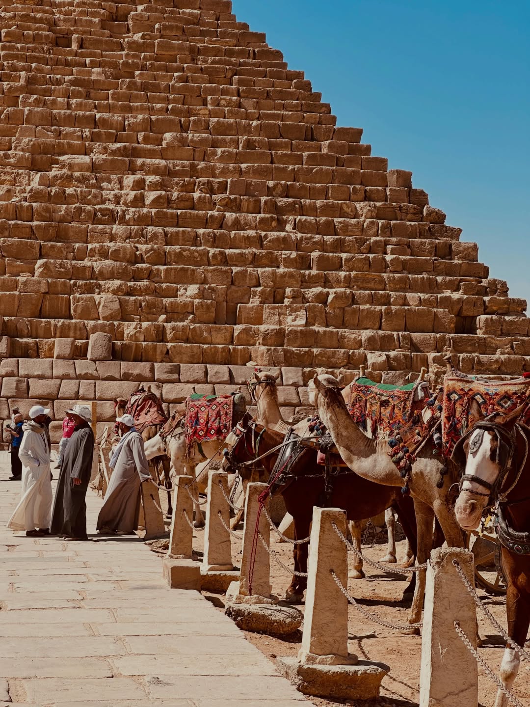 Cairo  Overnight Package from Sharm El Sheikh by Plane