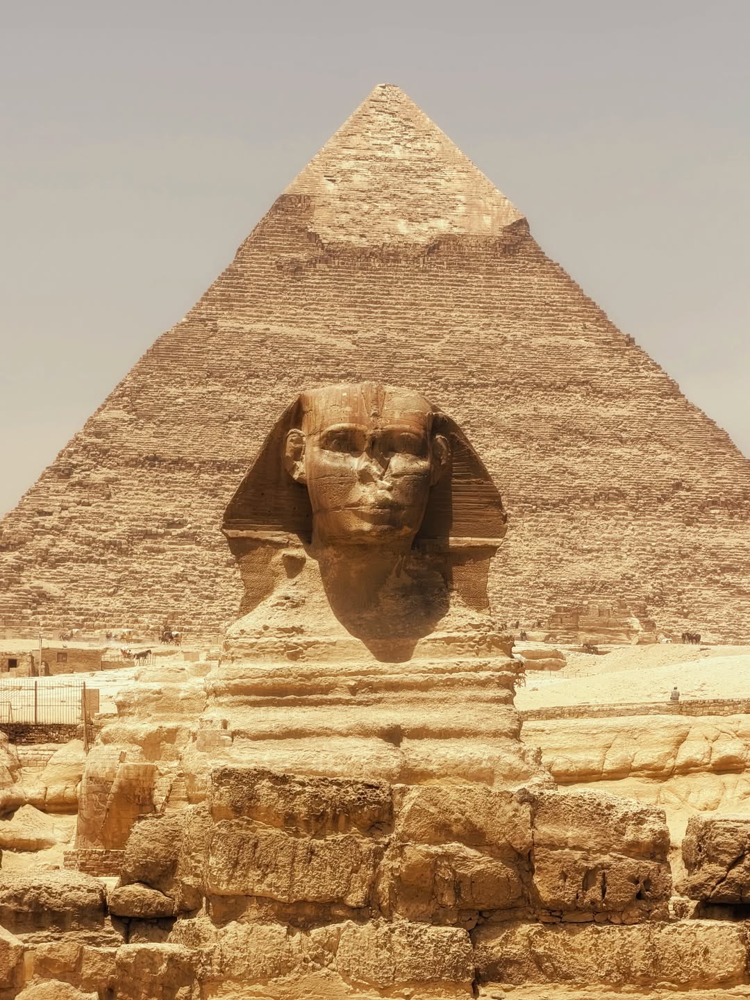 Cairo  Overnight Package from Sharm El Sheikh by Plane