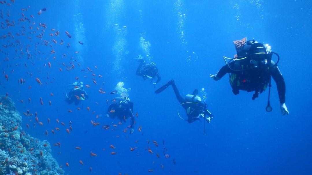 Blue Hole Dahab Snorkeling Tour with Camel Ride & Lunch