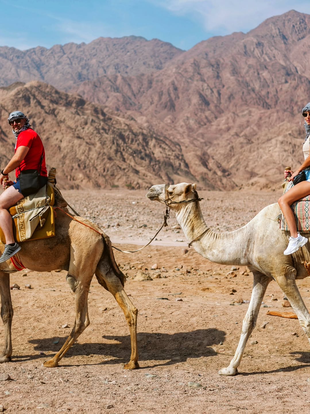 Blue Hole Dahab Snorkeling Tour with Camel Ride & Lunch