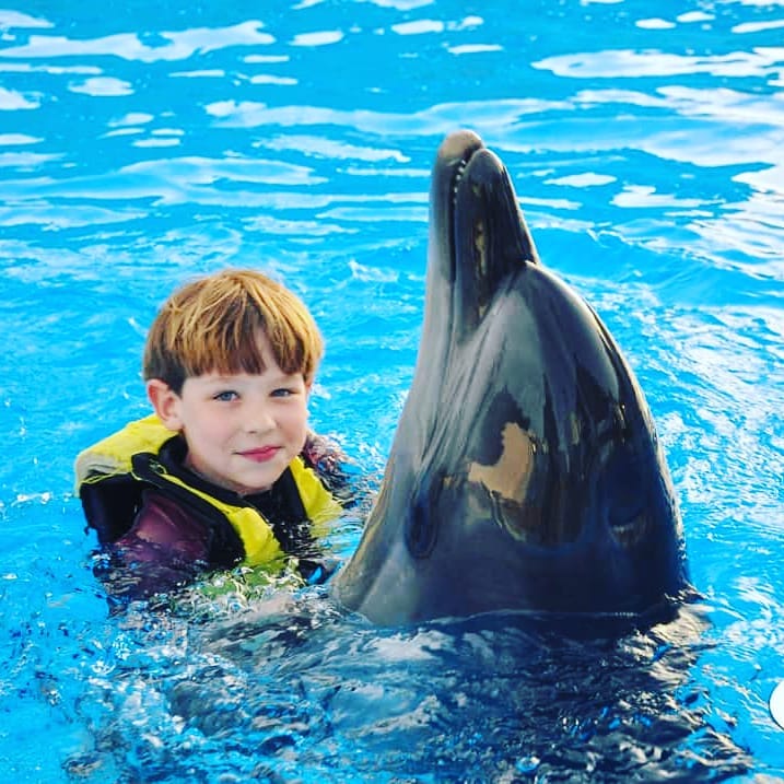 Swimming with Dolphins in Sharm El Sheikh