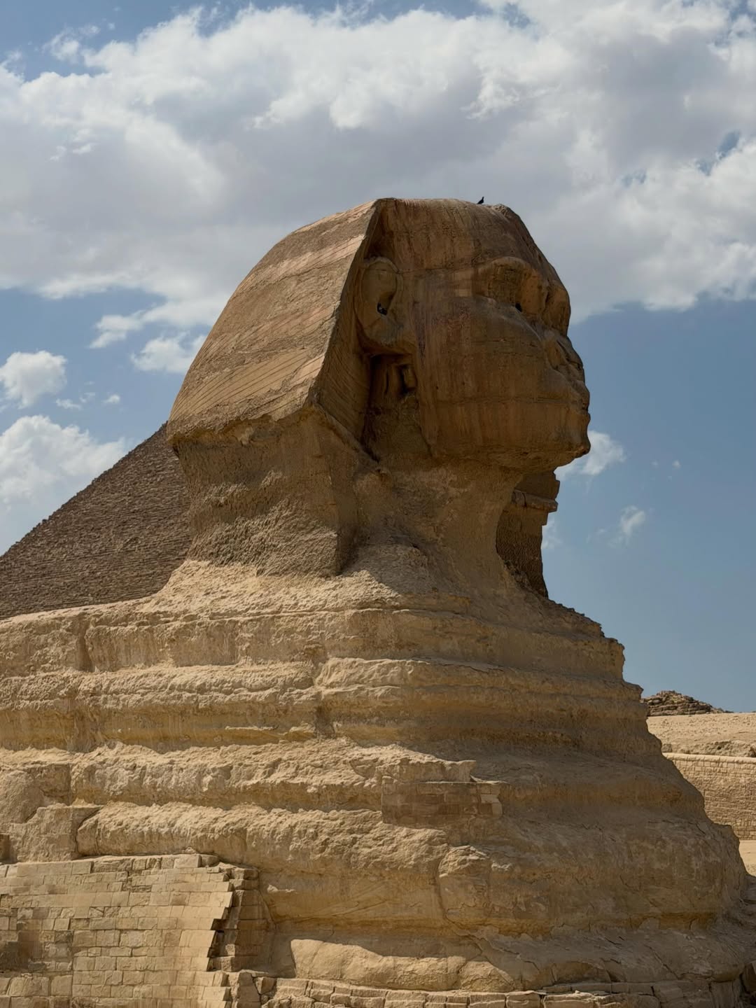 Full-Day Giza Pyramids & Egyptian Museum Bus Trip from Sharm