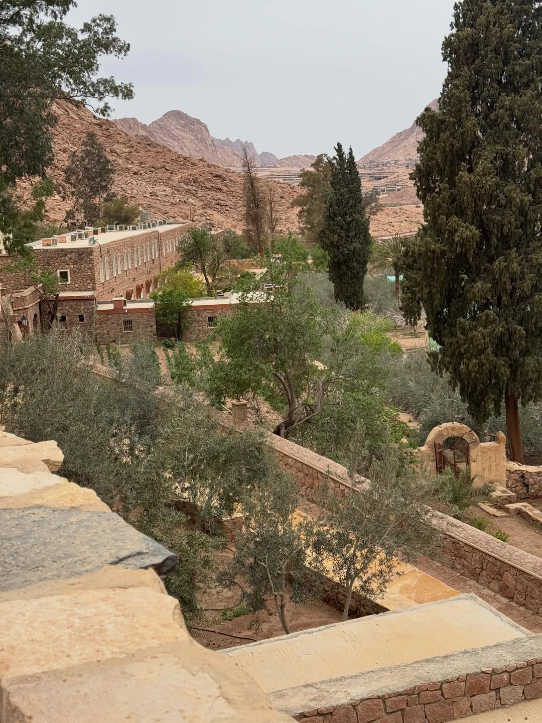 Mount Sinai Sunrise Hike & St. Catherine’s Monastery from Sharm El Sheikh