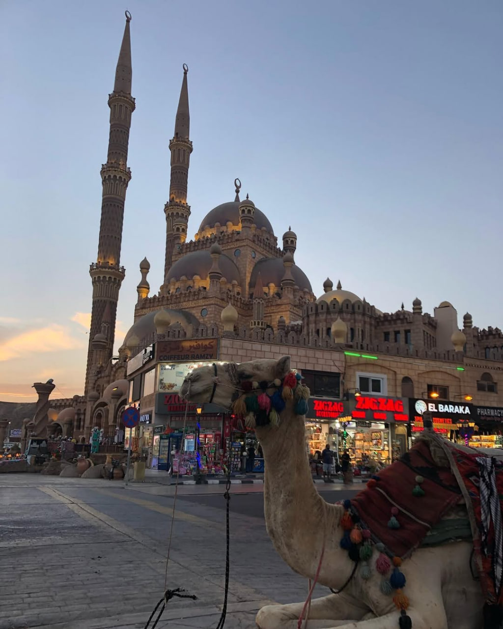 Sharm El Sheikh City Tour: Experience the Heart of the Red Sea